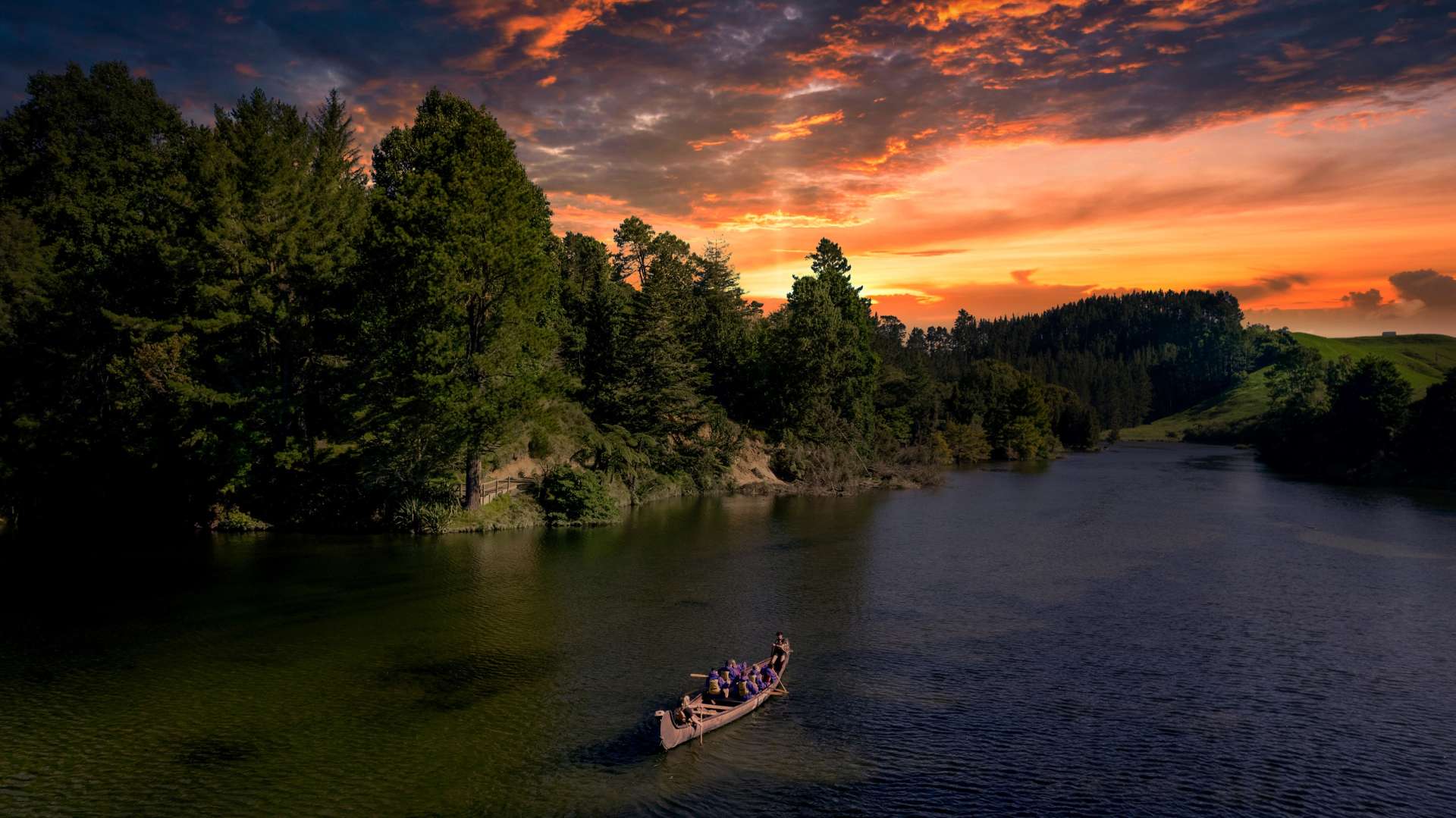 Evening Glowworm Tour